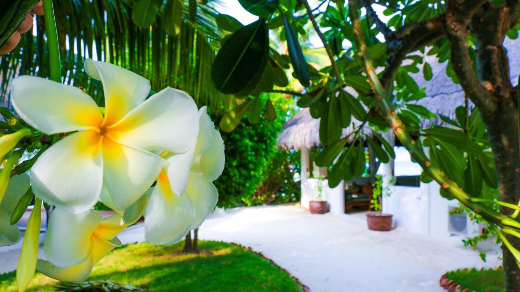 Vakarufalhi Maldives Dhangethi Екстериор снимка