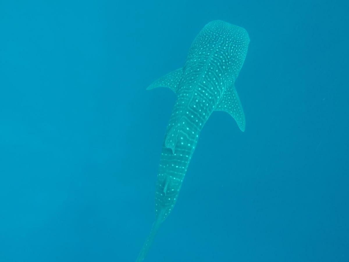 Vakarufalhi Maldives Dhangethi Екстериор снимка