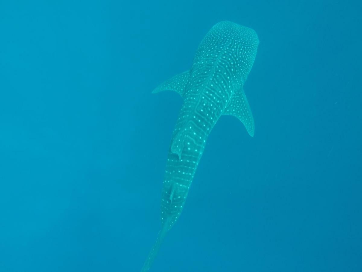 Vakarufalhi Maldives Hotel Alifu Dhaalu Atoll Екстериор снимка